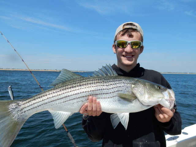 Live lined tinker mackerel catch stripers!